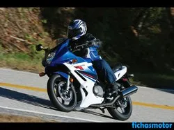 Imagem da motocicleta Suzuki gs500f 2010