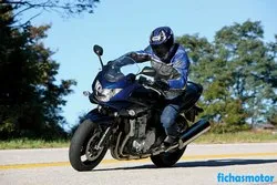 Изображение мотоцикла Suzuki gsf1250s bandit 2009