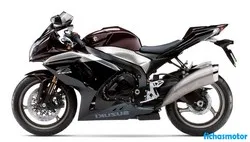 Afbeelding van de Suzuki gsx-r1000 2009-motorfiets