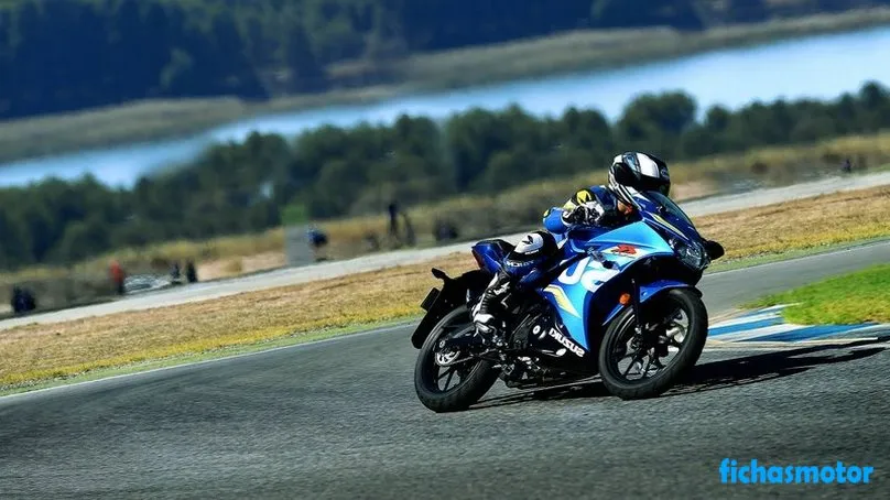 Изображение на мотоциклета Suzuki gsx-r125 на 2018 г