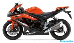 Afbeelding van de Suzuki gsx-r600 2009-motorfiets