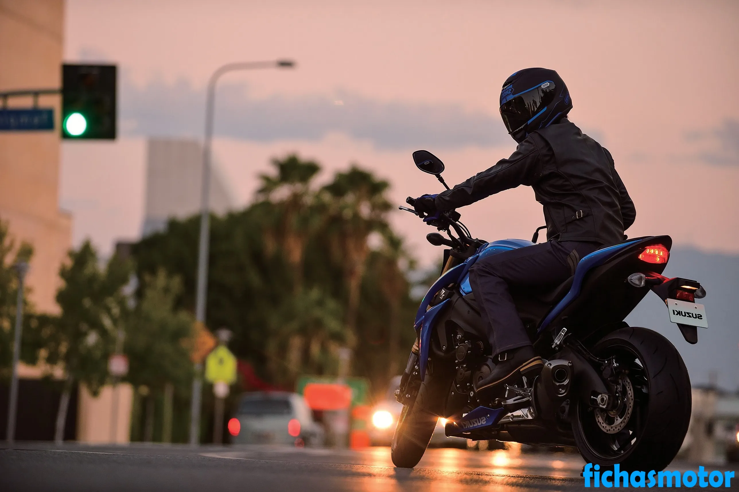 Изображение на мотоциклета Suzuki GSX-S1000 на 2019 г