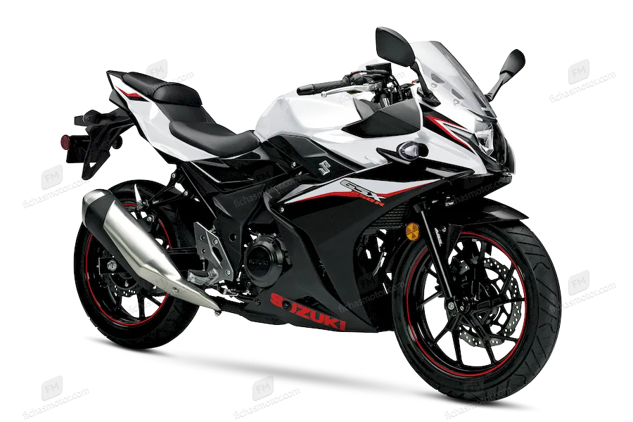 2021 model Suzuki GSX250R motosikletin görüntüsü