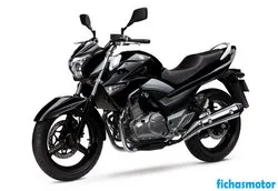 Gambar sepeda motor Suzuki inazuma 250 2014