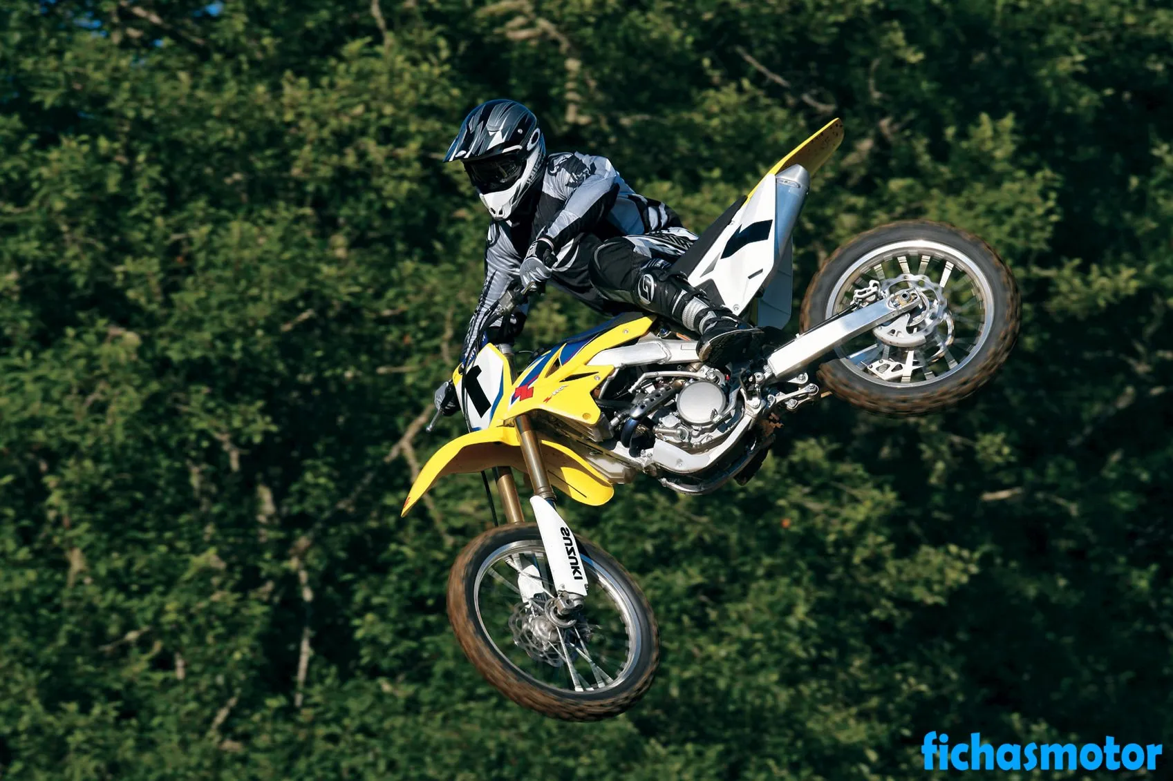 Obrázek motocyklu Suzuki rm-z250 roku 2009