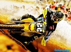 Immagine della moto Suzuki rm-z250 2013