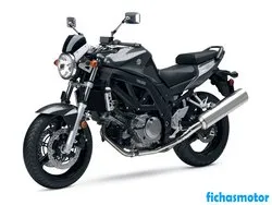 Imagem da motocicleta Suzuki sv650 2008