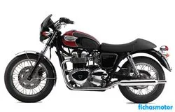 Image of the Triumph bonneville t100 2006 motorcycle