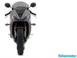 Image of the Triumph daytona 675 2007 motorcycle