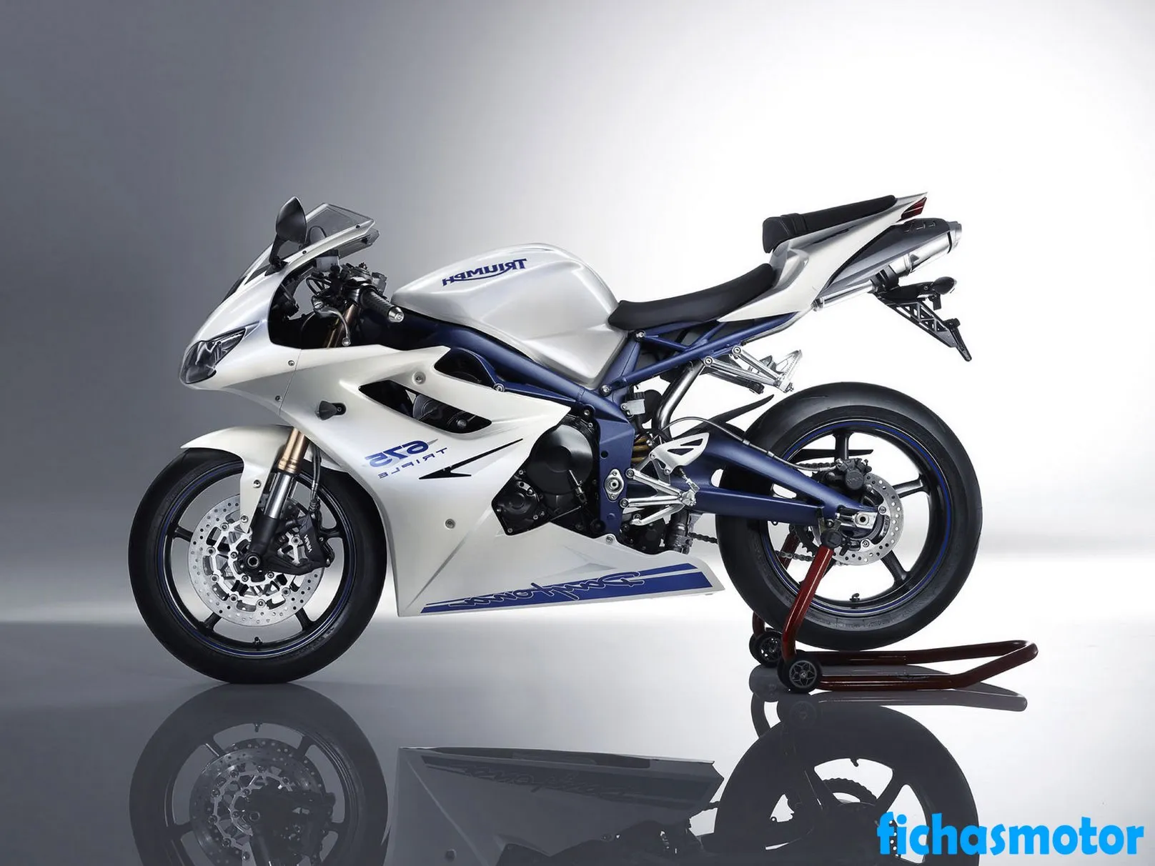 Immagine della moto Triumph daytona 675 dell'anno 2011