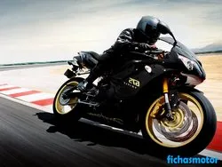 Imaginea motocicletei Triumph daytona 675 se 2008