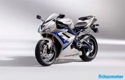 Bild des Motorrads Triumph daytona 675 se 2011