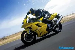 Image of the Triumph daytona 955i 2002 motorcycle