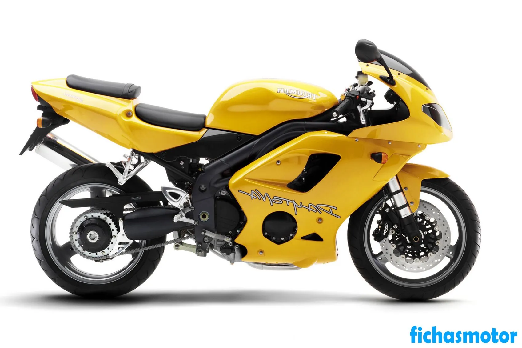 Immagine della moto Triumph daytona 955i dell'anno 2005