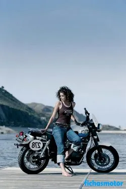 Triumph scrambler 2007 摩托车的图像