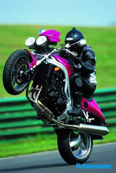 Immagine della moto Triumph speed triple dell'anno 2001