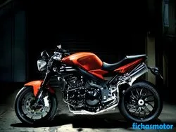 Image of the Triumph speed triple 2008 motorcycle