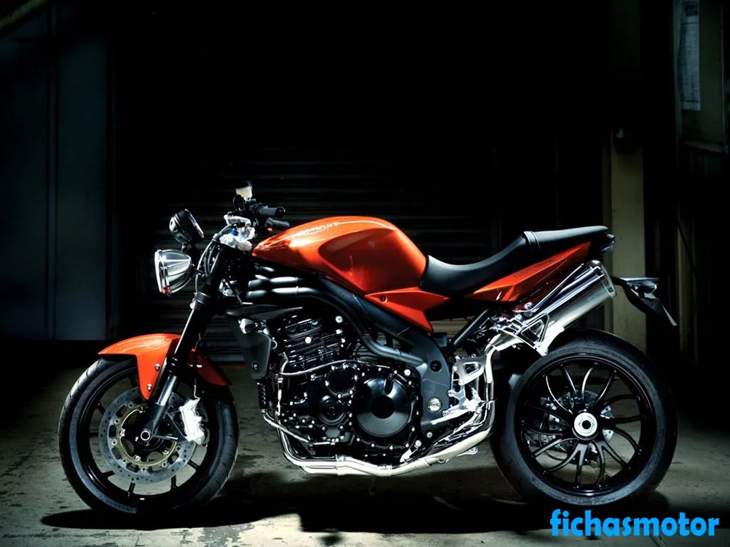 Immagine della moto Triumph speed triple dell'anno 2008