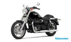 Afbeelding van de Triumph speedmaster 2006-motorfiets