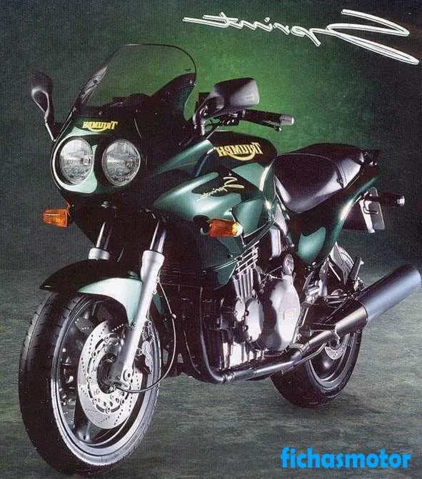 Immagine della moto Triumph sprint 900 dell'anno 1995