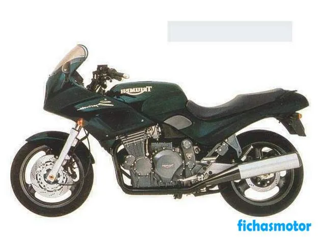 Immagine della moto Triumph sprint 900 dell'anno 1996