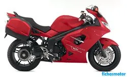 Image of the Triumph sprint st 2007 motorcycle