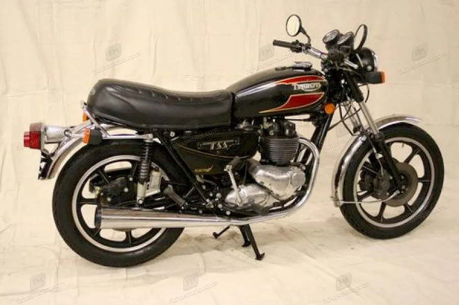 Afbeelding van de Triumph t 140 v tiger-motorfiets van het jaar 1976