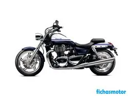 Image of the Triumph thunderbird 2015 motorcycle