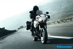 Image of the Triumph tiger 1050 2012 motorcycle