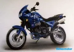 Triumph tiger 900 1995 摩托车的图像