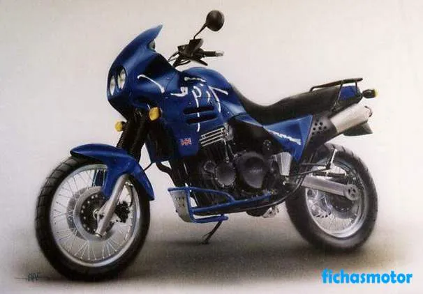 Immagine della moto Triumph tiger 900 dell'anno 1995