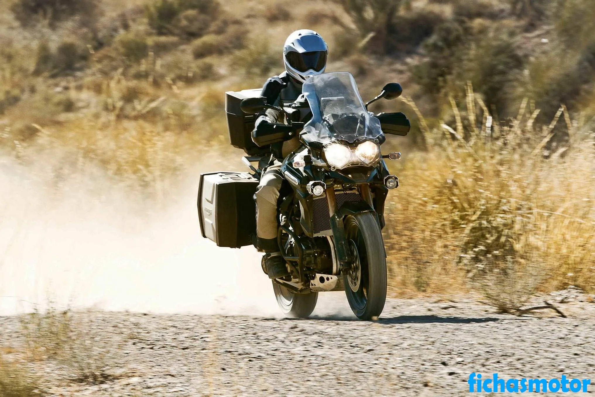 Image de la moto Triumph tiger explorer de l'année 2014