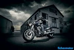 Bild des Motorrads Victory hammer 2011