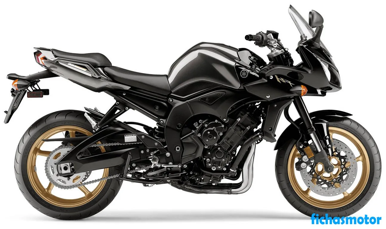 2010 年 Yamaha fz1 摩托车图片