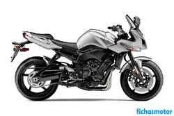 Imagem da motocicleta Yamaha fz1 2011