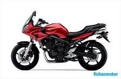 Изображение на мотоциклет Yamaha fz6 2006