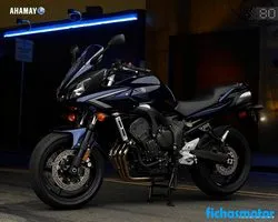 Imaginea motocicletei Yamaha fz6 2008