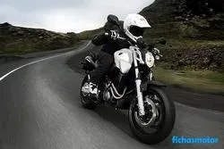 Изображение мотоцикла Yamaha mt-03 2006