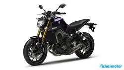 Imaginea motocicletei Yamaha mt-09 2015