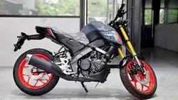 Image of the Yamaha MT-15 2021 motorcycle