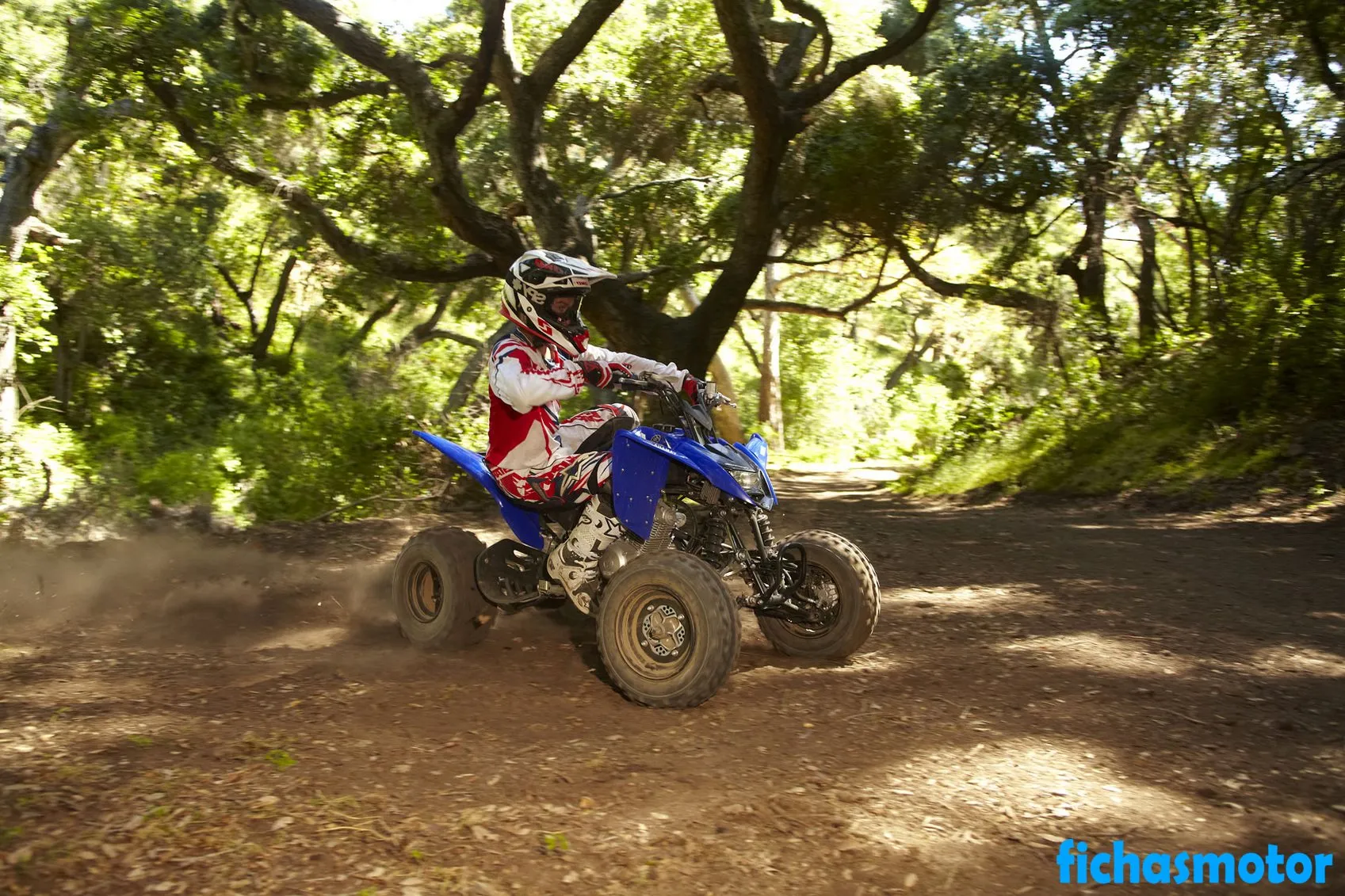 Imaginea motocicletei Yamaha raptor 125 a anului 2011