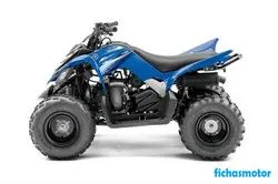 Image of the Yamaha raptor 90 2012 motorcycle