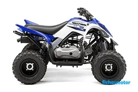 Image of the Yamaha Raptor 90 motorcycle of the year 2019