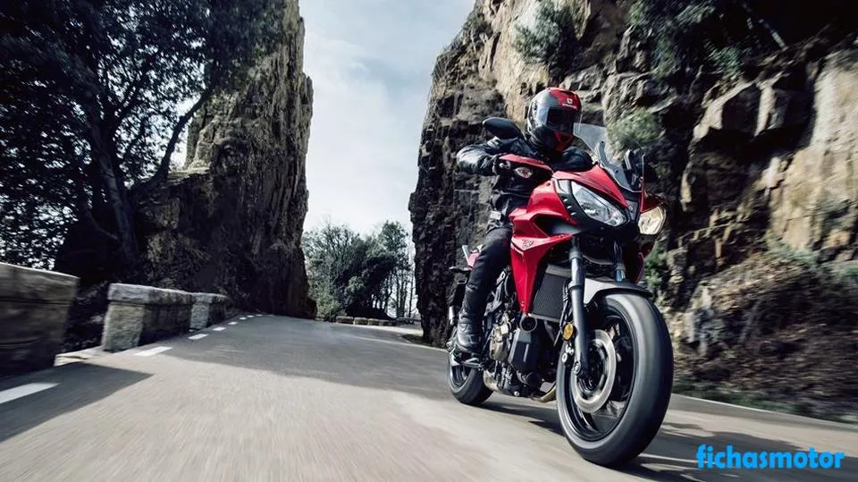 Image of the Yamaha Tracer 900 motorcycle of the year 2019