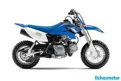 Imagen de la moto Yamaha tt-r50e 2012