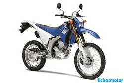 Imaginea motocicletei Yamaha wr250r 2013