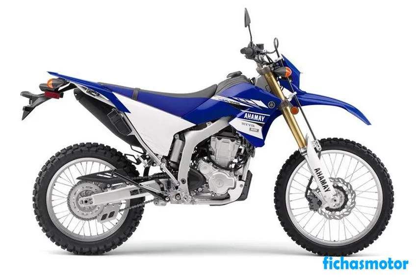 Image of the Yamaha WR250R motorcycle of the year 2021