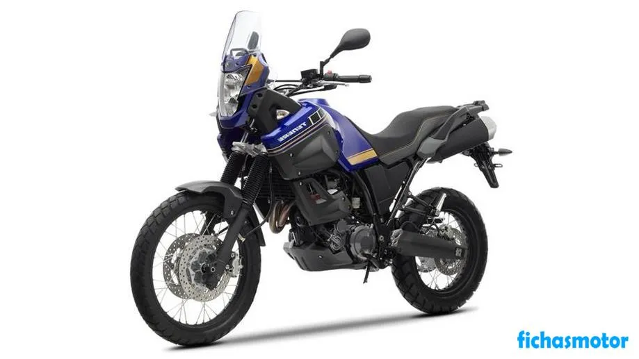 Image de la moto Yamaha xt660z tenere de l'année 2013