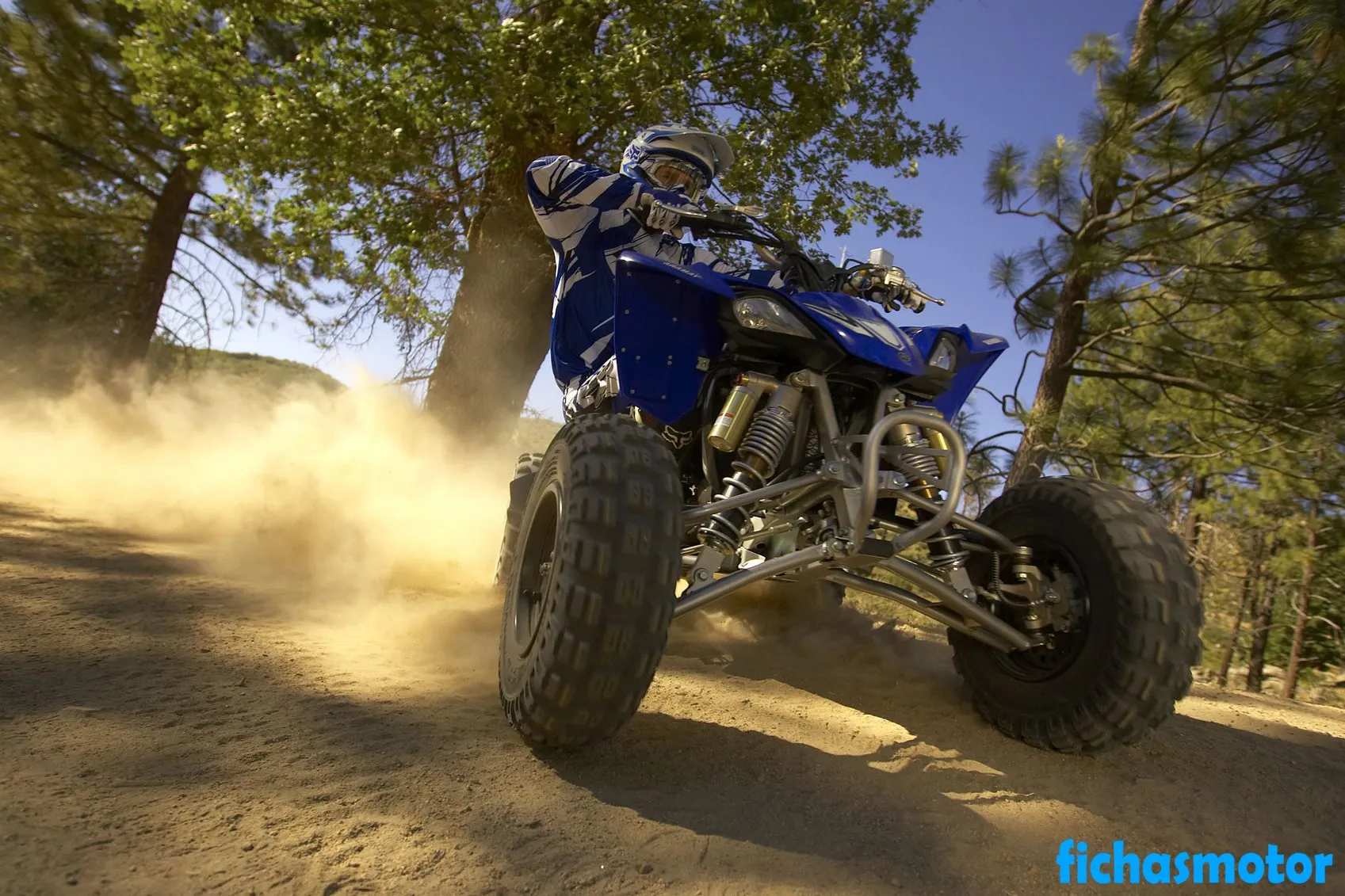 2010 model Yamaha yfz450x motosikletin görüntüsü