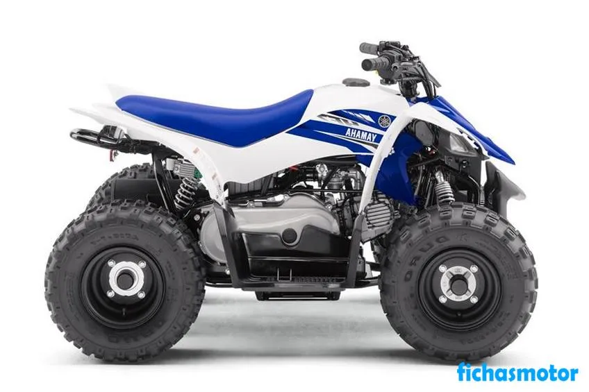 Imaginea motocicletei Yamaha YFZ50 a anului 2019